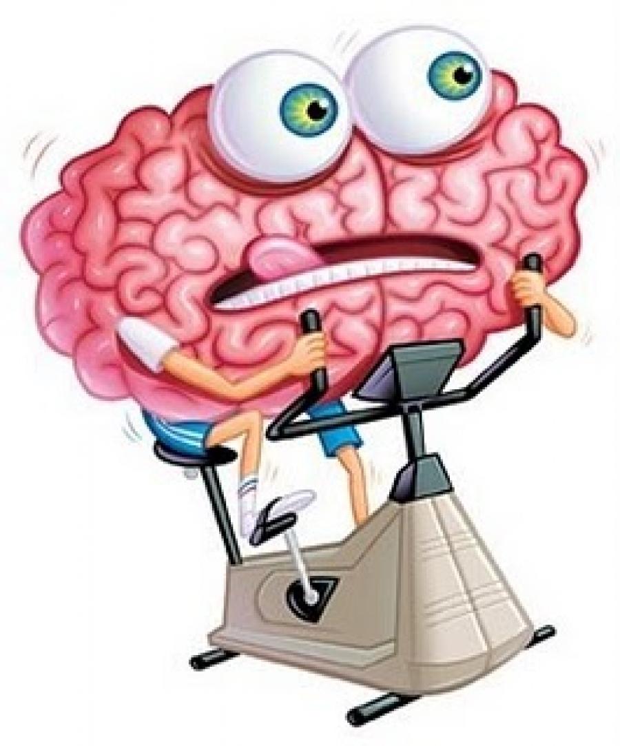 Transdiferenciación neuronal directa. Abracadabra entre neuronas… Transdiferenciación neuronal directa. Abracadabra entre neuronas…