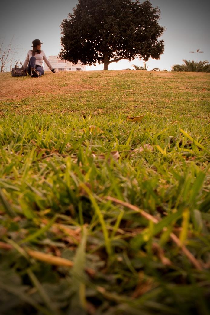 With the ducks With the ducks