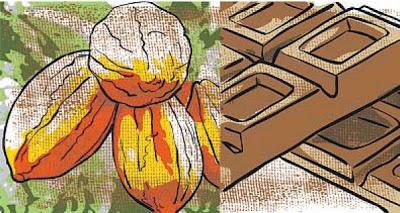 245. Crecimiento a base de chocolate 245. Crecimiento a base de chocolate