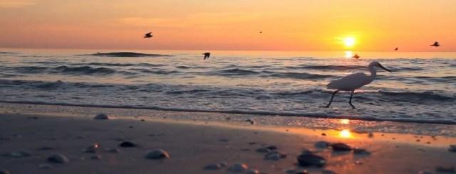 Instantes – Lapsos. Lapses6-640x245