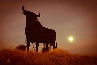 Toros sí, dación en pago no Toros sí, dación en pago no