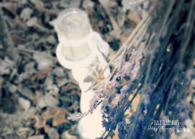 Una ceremonia en el bosque Una ceremonia en el bosque