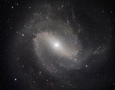 Y la belleza tomó forma Y la belleza tomó forma