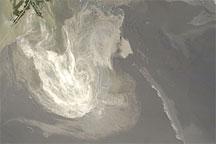 Oil Slick in the Gulf of Mexico Oil Slick in the Gulf of Mexico