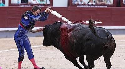 Palhas y lilas Palhas y lilas