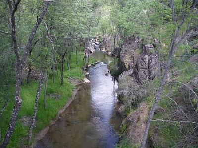 Un viaje a Montejo de la Sierra / Noticia de Miguel Labordeta Un viaje a Montejo de la Sierra / Noticia de Miguel Labordeta