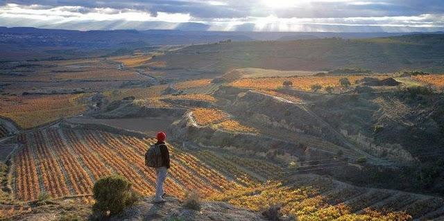 Un año sabático en La Rioja