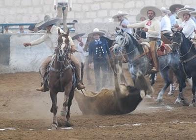San Martín Caballero al Segundo Lugar del Excelencia con 367 San Martín Caballero al Segundo Lugar del Excelencia con 367