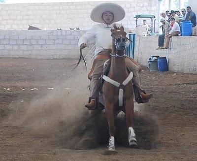San Martín Caballero al Segundo Lugar del Excelencia con 367 San Martín Caballero al Segundo Lugar del Excelencia con 367