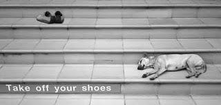 Devious Delight Devious Delight