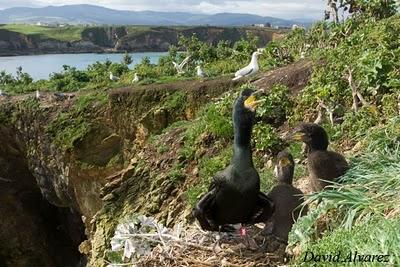Una temporada más y siguen los problemas de siempre Una temporada más y siguen los problemas de siempre