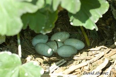 Una temporada más y siguen los problemas de siempre Una temporada más y siguen los problemas de siempre