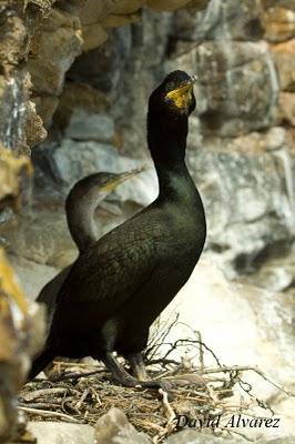 Una temporada más y siguen los problemas de siempre Una temporada más y siguen los problemas de siempre