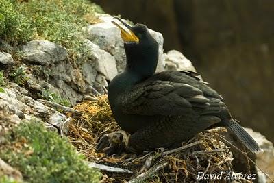 Una temporada más y siguen los problemas de siempre Una temporada más y siguen los problemas de siempre