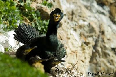 Una temporada más y siguen los problemas de siempre Una temporada más y siguen los problemas de siempre