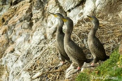 Una temporada más y siguen los problemas de siempre Una temporada más y siguen los problemas de siempre