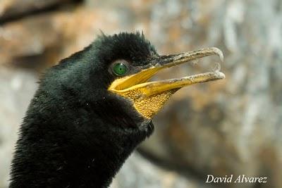 Una temporada más y siguen los problemas de siempre Una temporada más y siguen los problemas de siempre