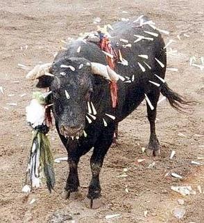 Bienvenidos a la España salvaje