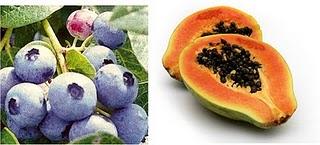 Las top 20 SUPER FRUTAS que no te puedes perder