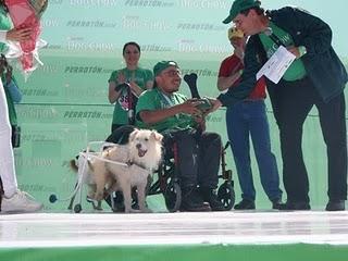 ¡Por primera vez en Guadalajara el Purina Dog Show Perrotón 2010!