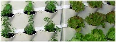 MiniGarden para pequeños huertos en casa. minijardines y minihuertos para interior y exterior