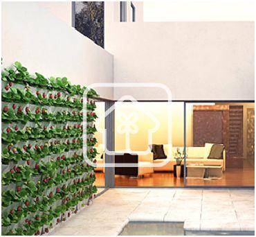 MiniGarden para pequeños huertos en casa. decorar con plantas paredes