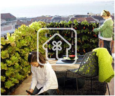 MiniGarden para pequeños huertos en casa. como conseguir un pequeño huerto en casa o un minijardin en el interior