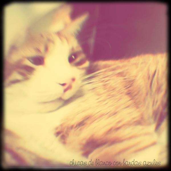 Trucos fotográficos Trucos fotográficos