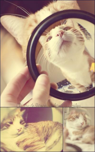 Trucos fotográficos Trucos fotográficos