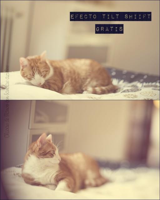 Trucos fotográficos Trucos fotográficos