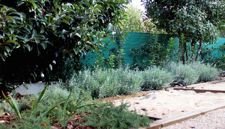 foto 01 foto 01 Diseño de Jardín sin mantenimiento