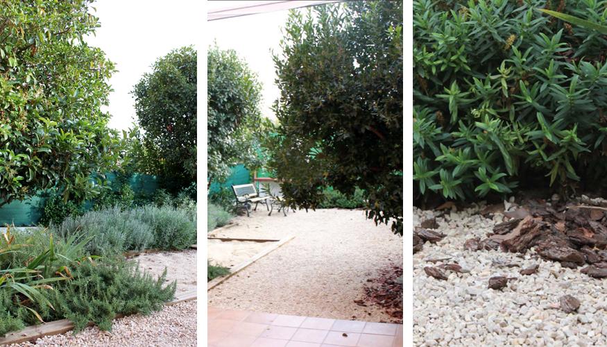 foto 03 foto 03 Diseño de Jardín sin mantenimiento