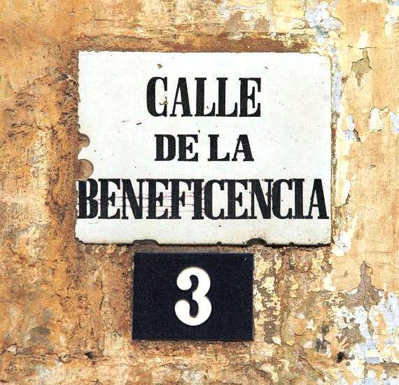 Como pollo sin cabeza... Como pollo sin cabeza...