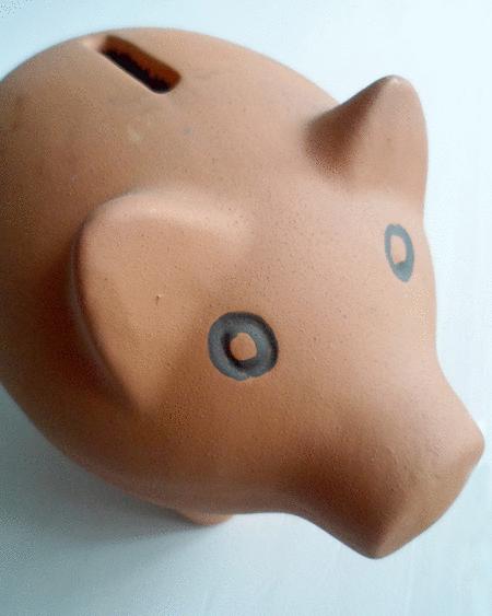 EL CLUB DEL #PAM2 picasion.com