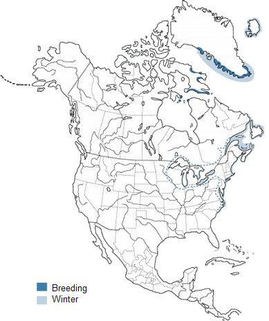Kumlieni y Delaware en Bañugues Kumlieni y Delaware en Bañugues