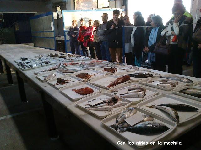 Subasta de pescado en la lonja de El Campello Subasta de pescado en la lonja de El Campello
