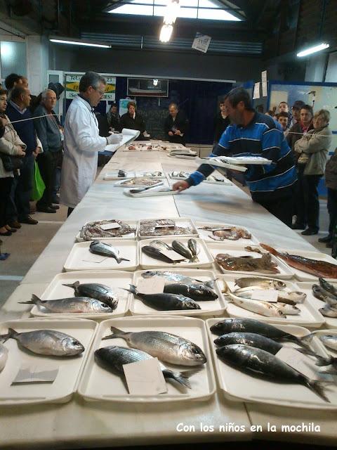 Subasta de pescado en la lonja de El Campello Subasta de pescado en la lonja de El Campello