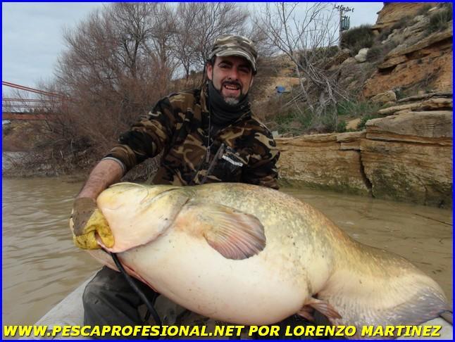 GUIA DE PESCA DEL SILURO A SPINNING O LANZADO DSC00782 GUIA DE PESCA DEL SILURO A SPINNING