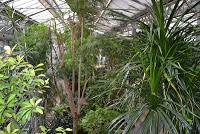 INSTAMOMENTSDia de padel ( paddle) / Hora de cafe ( starb... INSTAMOMENTSDia de padel ( paddle) / Hora de cafe ( starb...