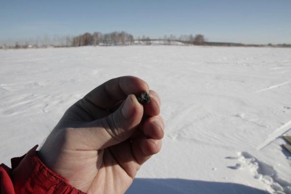 Primeras fotos del meteorito caído sobre Rusia 20130217-232920.jpg