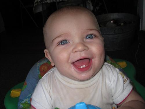 dientes-bebe dientes-bebe