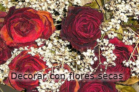 Decorar tu casa con flores secas