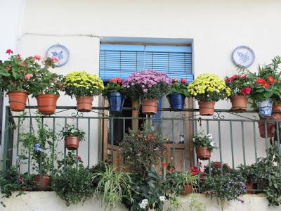 Una visión del color defectuosa: el daltonismo Una visión del color defectuosa: el daltonismo