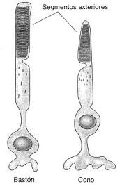 Punto ciego Punto ciego