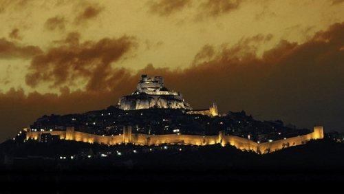 Morella