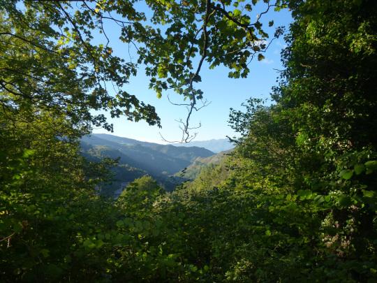 Un soleado día en los “Lagos de Covadonga”: Parque Nacional de los Picos de Europa Mirador los Canónigos (2)