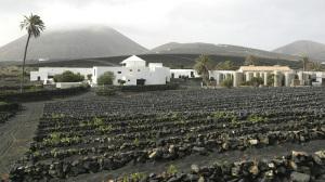 Bodegas El Grifo