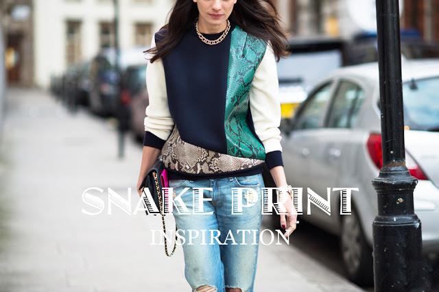 Year of the Snake Year of the Snake