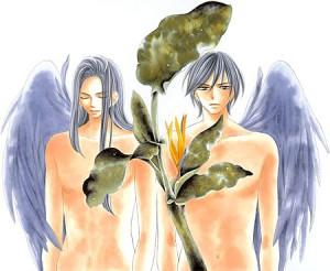 Black Bird tendría 19 tomos 024