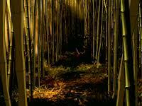 Redes y un cambio de comunicación Redes y un cambio de comunicación